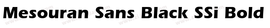Mesouran Sans Black SSi Bold Italic字体转换